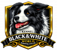 Black & White World
